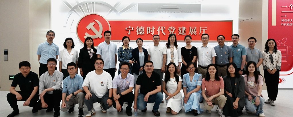 报告标题